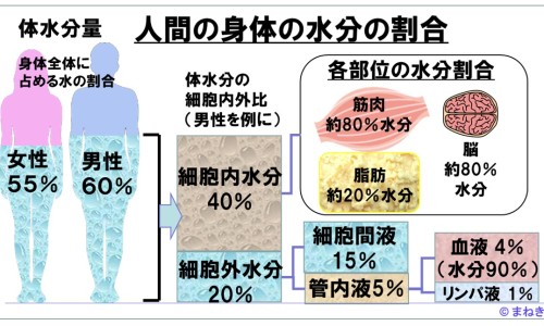 石药布洛芬颗粒图片及价格-【石药布洛芬效果怎么样】石药布洛芬颗粒内包装什么样 - 石药布洛芬颗粒图片网
